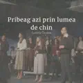 Pribeag azi