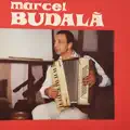 Ciubotica