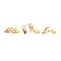 Swag School - Single - marri