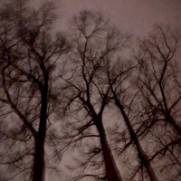 Down on my ass - Single - LXVELL