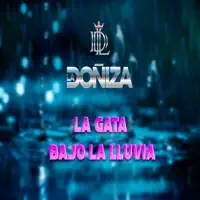 LA GATA BAJO LA LLUVIA — LA DOÑIZA