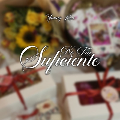 No Fue Suficiente - Single