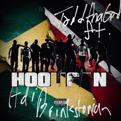 HOOLIGAN (feat. Adi Brinkstonian) [Radio Edit] - Single