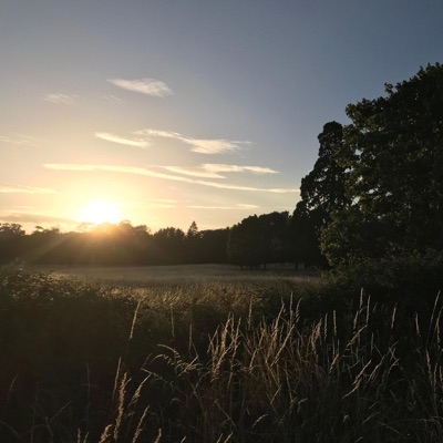 Alan's Tune - Single