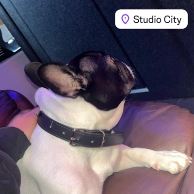 No Scrubs (feat. Omega Dre) - Single