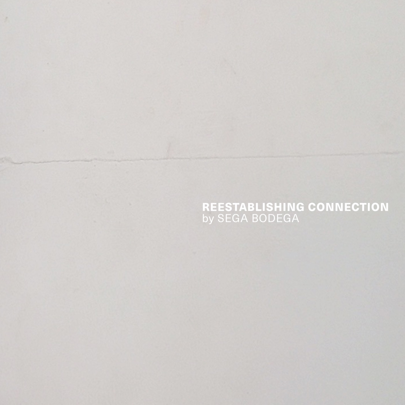 Reestablishing Connection [2020] by Sega Bodega