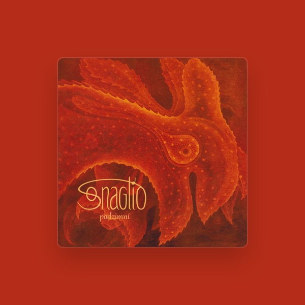 Sonaglio's avatar