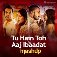 Tu Hain Toh x Aaj Ibaadat (Mashup) - Single - Aashish Gade, Hunny, Bunny & Sanjay Leela Bhansali
