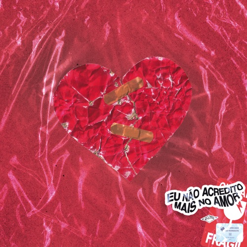 EU NÃO ACREDITO MAIS NO AMOR - Single