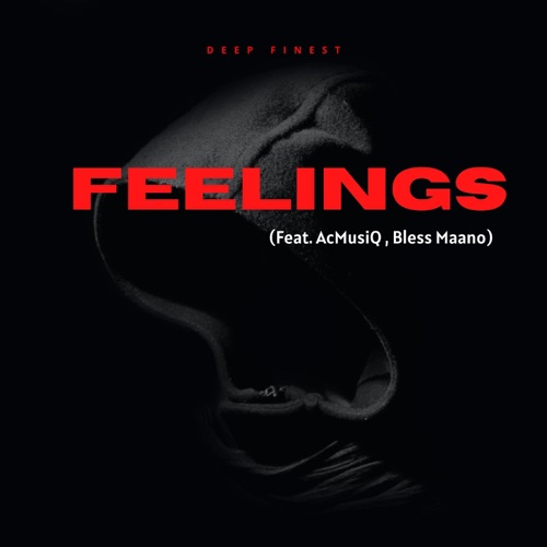 Feelings (feat. AcMusiQ & Bless Maano) - Single
