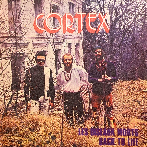Les Oiseaux Morts (Back To Life) - Single