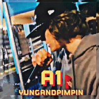 A1 - Single - yungandpimpin