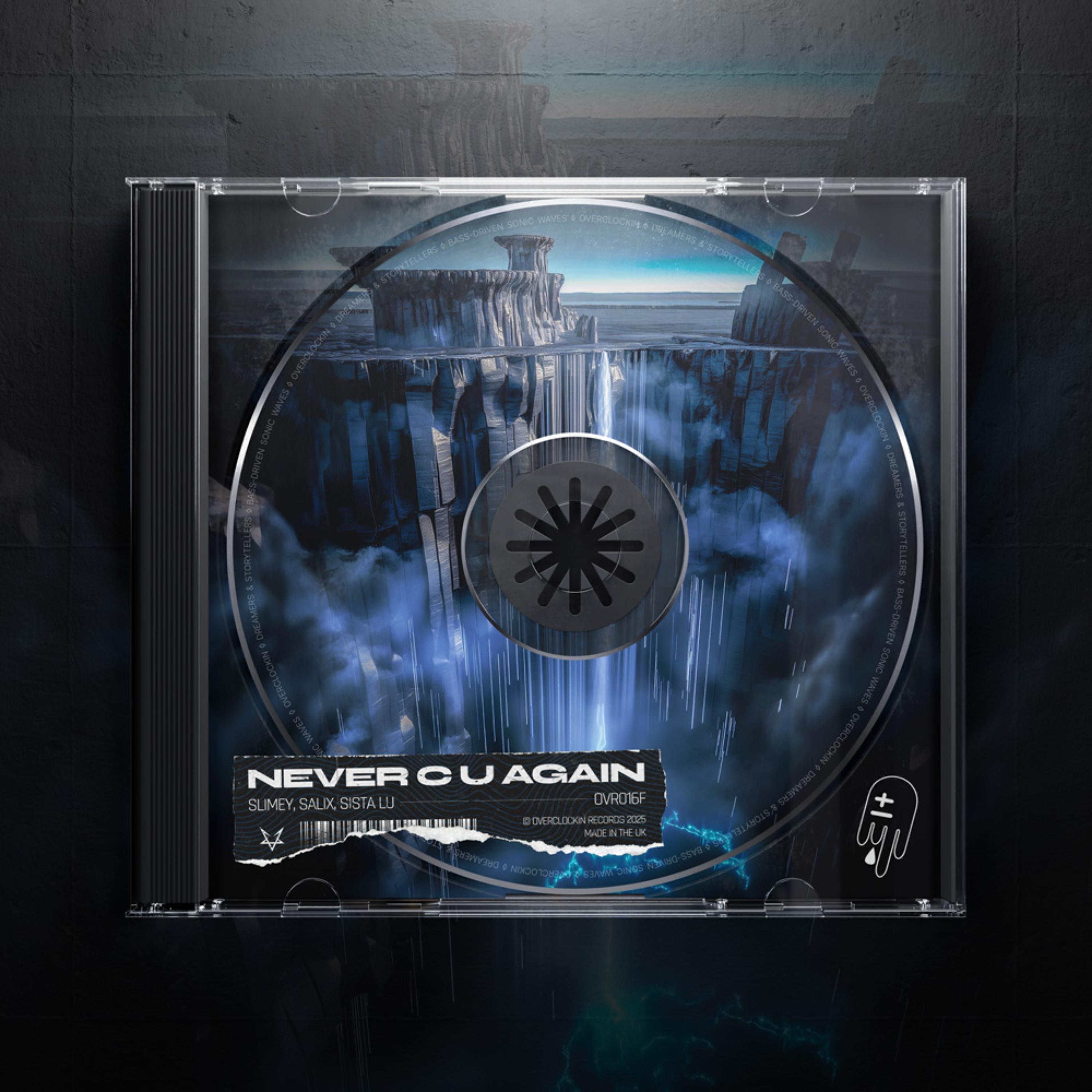 Never C U Again - Single