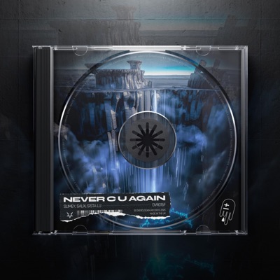 Never C U Again - Single