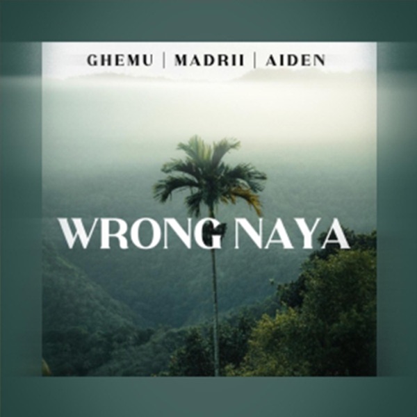 WRONG NAYA (feat. MANDRII & Aiden)