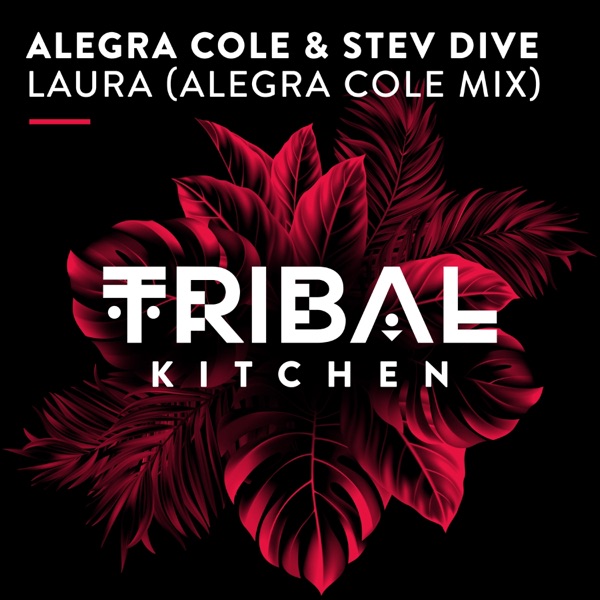 Laura (Alegra Cole Mix) - Single