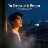 Tu Forma en la Bruma