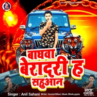 Baghawa Biradari H Sahuan - Single - Anil Sahani