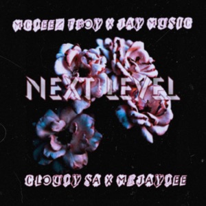 Next Level (feat. MR JAYDEE)