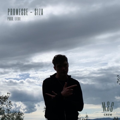 Promesse (feat. Liebe) - Single