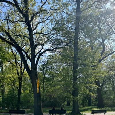 indica sleaze patch (feat. Zuko, Kru & Chase Salvia) - Single