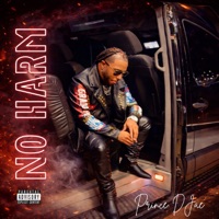 No Harm - Single - Prince Djae