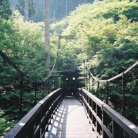 first love - Single - Mindo