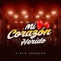 MI CORAZON HERIDO
