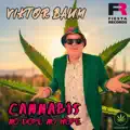 Cannabis No Dope No Hope