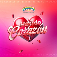 la ricotona