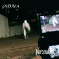 pNEUMA