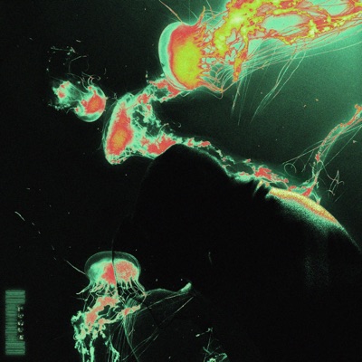 RESET - EP