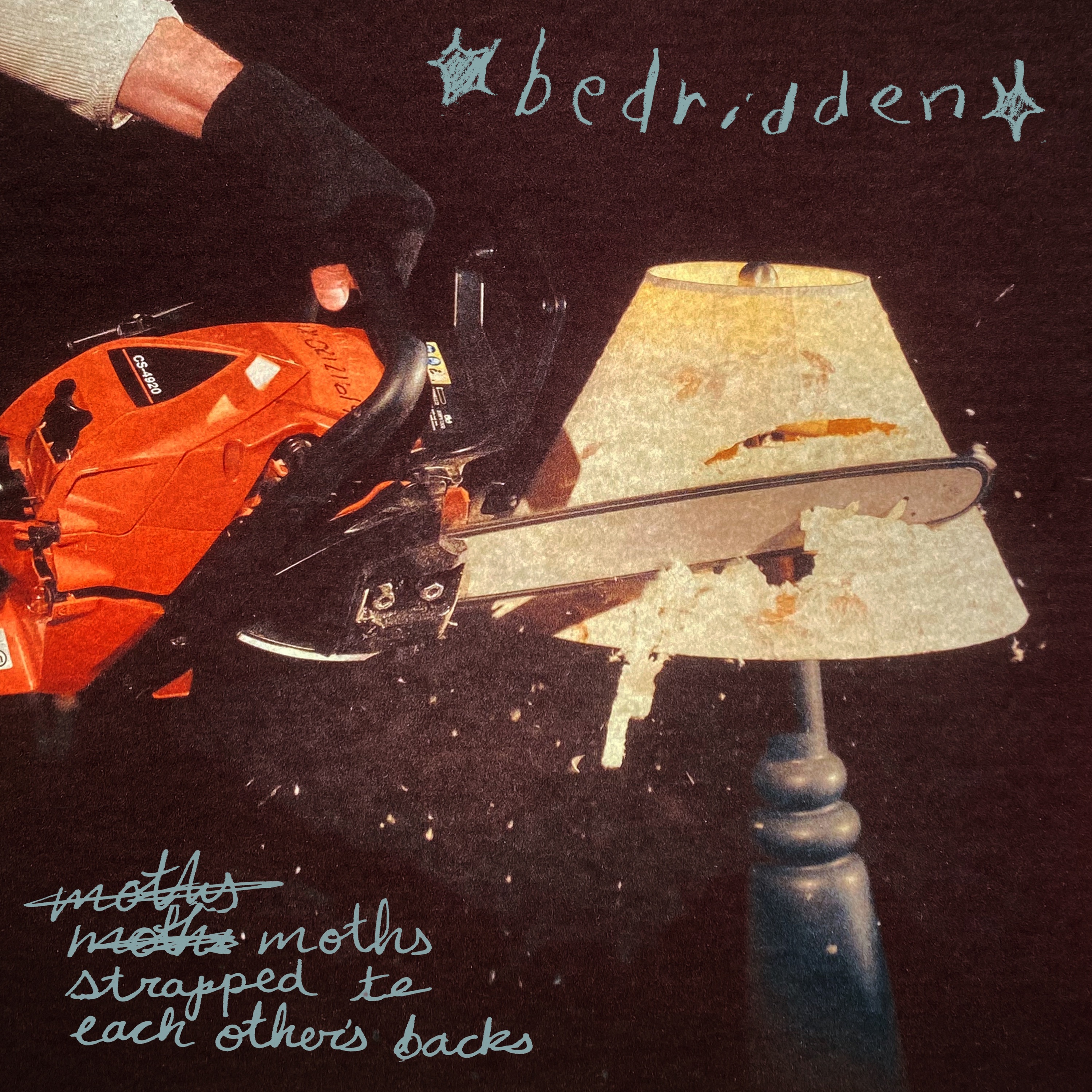 Moths Strapped To Each Other's Backs