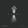 Stephen McWhirter & Jason Clayborn - Rapha