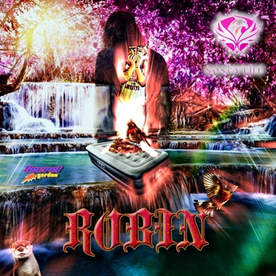 Robin - Single