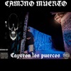 Cayeron los puercos (feat. Menace wp) - Single