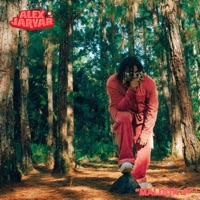 MALDITA P - Single - Alex Jarvar