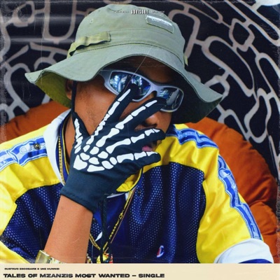 Tales Of Mzansi's Most Wanted - Single