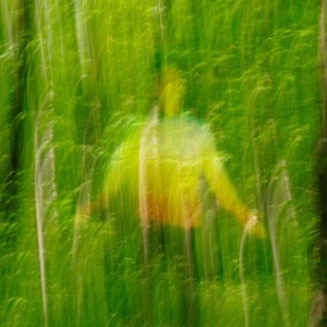 Scenery - Single