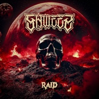 Raid - Single - Shweez