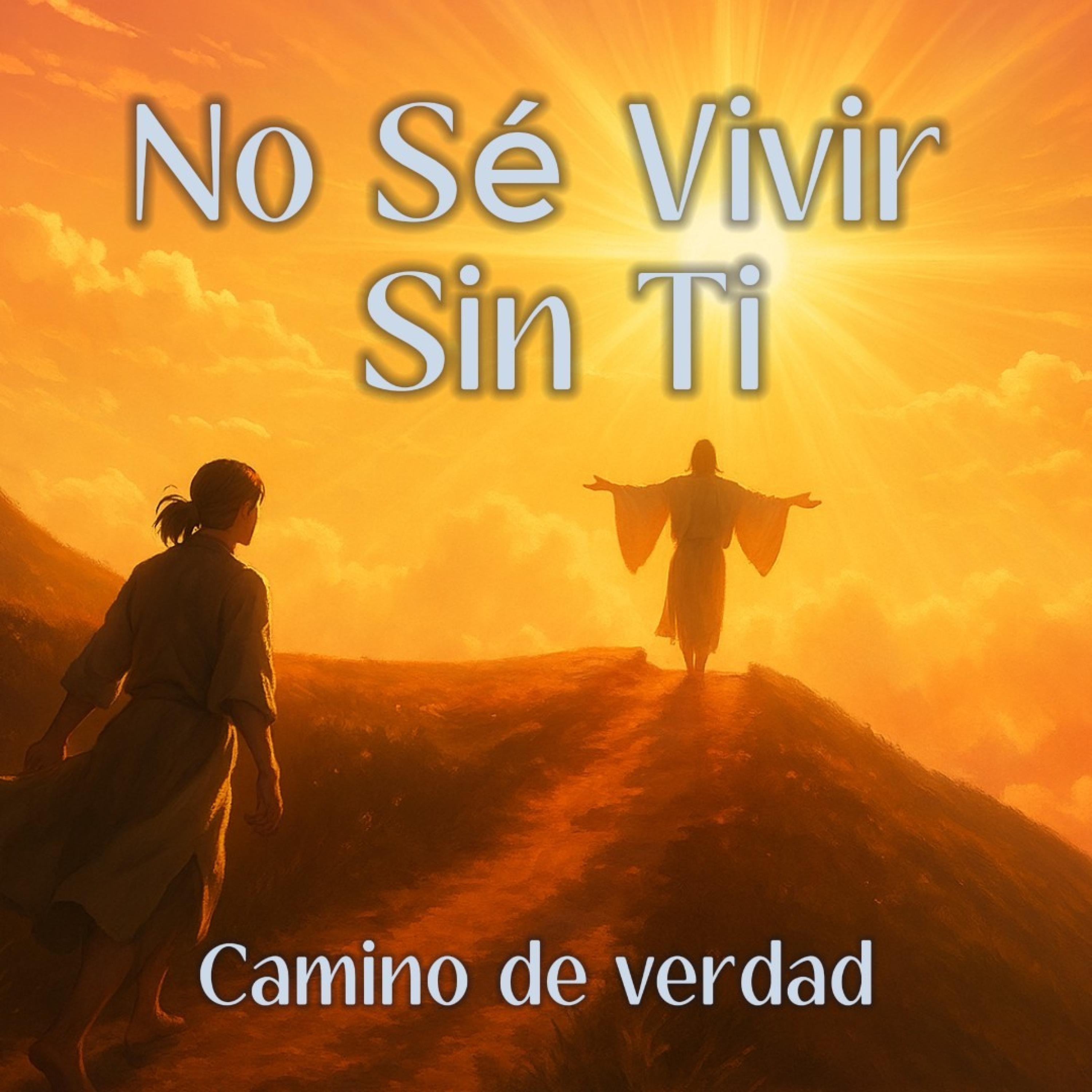 No Sé Vivir Sin Ti - Single