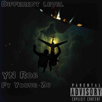 Different Level (feat. Young zo) - Single
