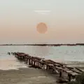 Alone