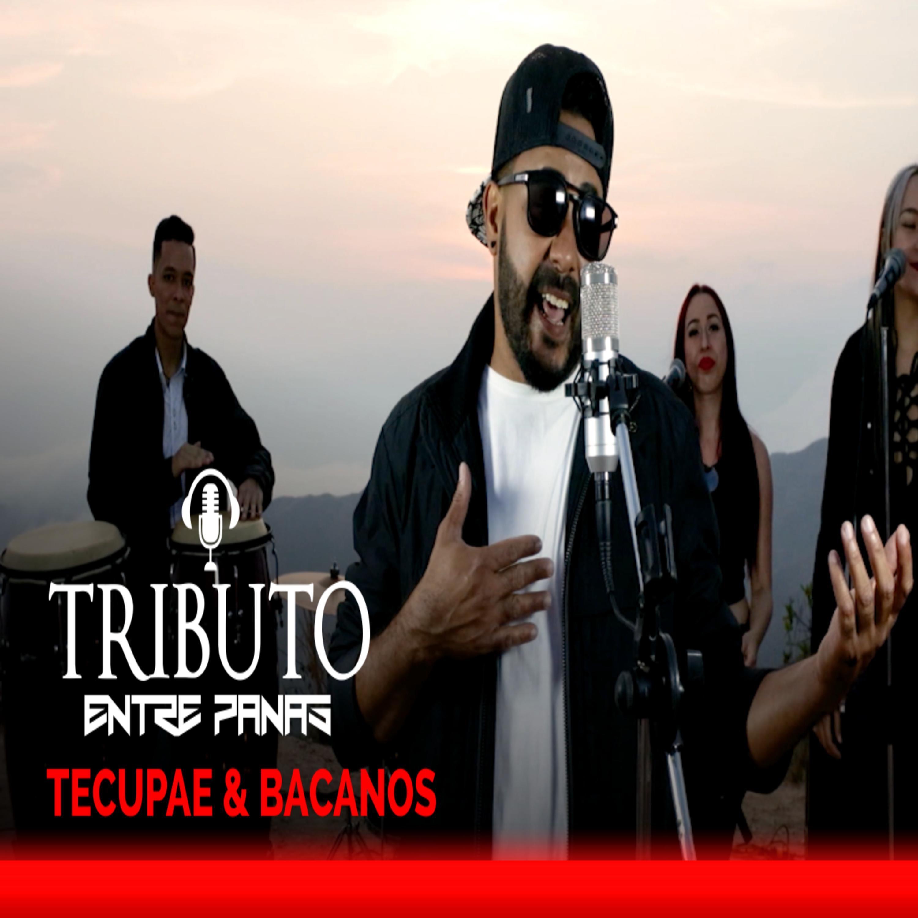 TECUPAE & BACANOS (feat. Chalo Rodríguez) - Single