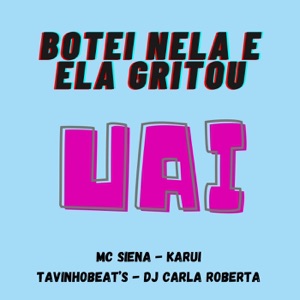 Botei nela e ela gritou UAI (feat. dj carla roberta)