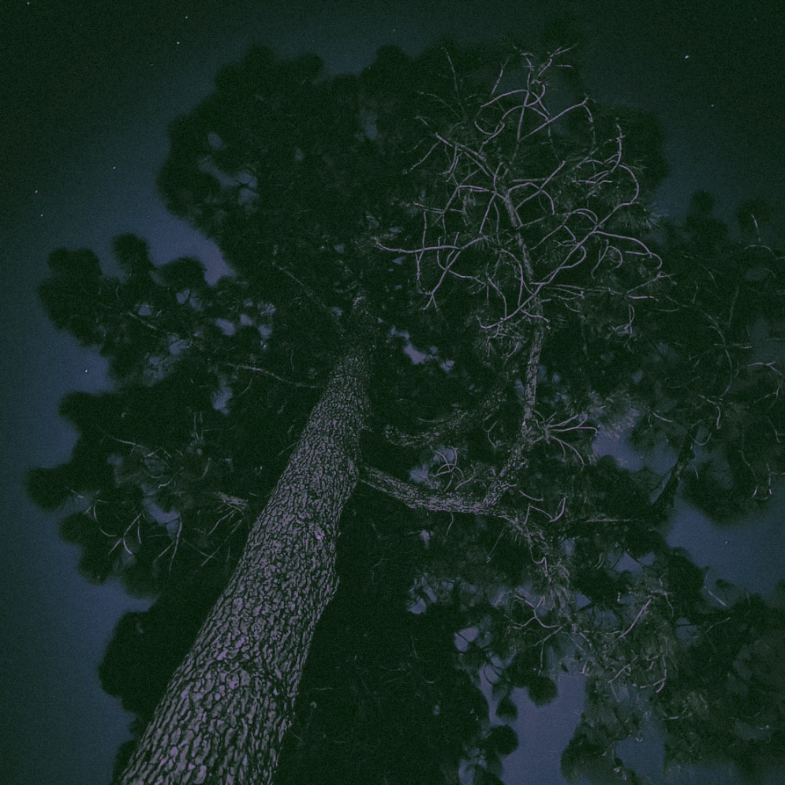 Everything Comes To an End - Single