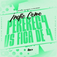 Indio Come Perereca vs Fica de 4 (feat. MC DANFLIN) - Single - DJ TACHI OBRABOO & MC AYUMI 011
