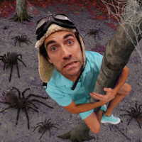 Spooky Spiders Everywhere! - Danny Go! Cover Art