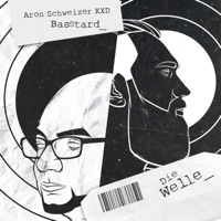 Die Welle (feat. DJ Shifroc) - Single - Aron Schweizer - KXD & Basstard