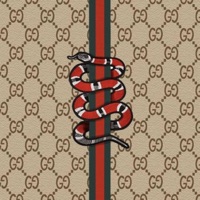 gucci - Single - ljstnn